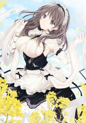 Post 3973026