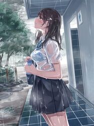 Post 3980239