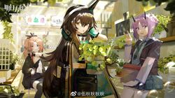 Post 3981108