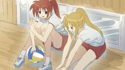Post 3992503
