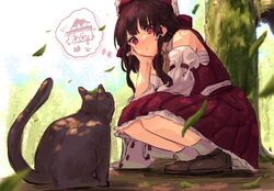 Post 3997072
