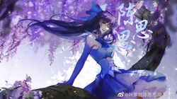 Post 4006637