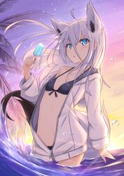 Post 4009885
