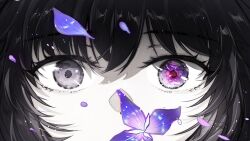 Post 5284099
