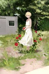 Post 4050167