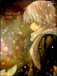 Post 4020096