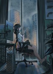 Post 4020811