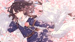 Post 5747446
