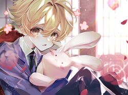 Post 4035816