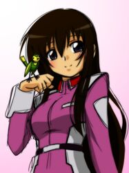 Post 4037831