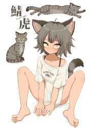 Post 5994374
