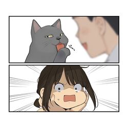 Post 4038324