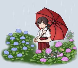 Post 4040767