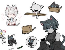 Post 4045290