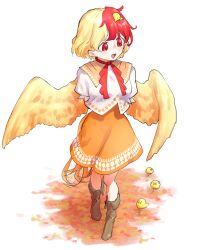 Post 6281948