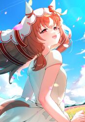 Post 6281547