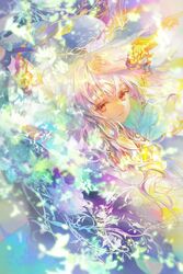 Post 4054616
