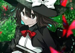 Post 4060135