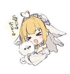 Post 4063580