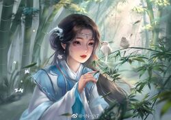 Post 4066044