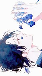 Post 4067610