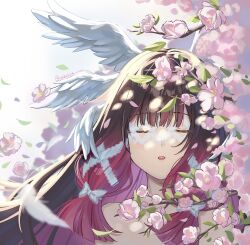 Post 6679531