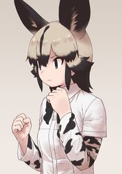 Post 4080559