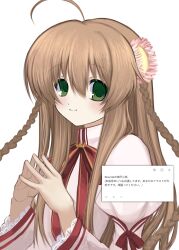 Post 6904656
