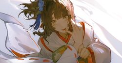 Post 4086665