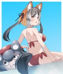 Post 4089201