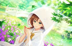 Post 4091419