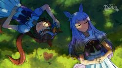 Post 7074466