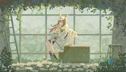 Post 4093053