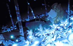 Post 4097901