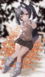 Post 7185304
