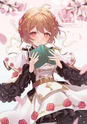 Post 4102229