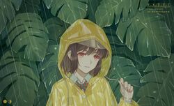 Post 4104982