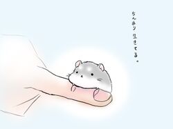 Post 393402