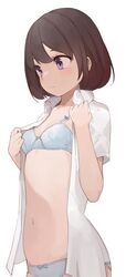 Post 4110245