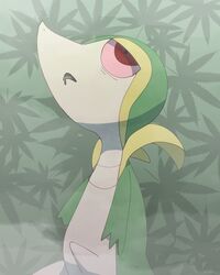 Post 4115277