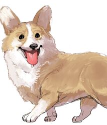Post 4116883