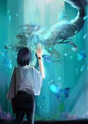 Post 4135007
