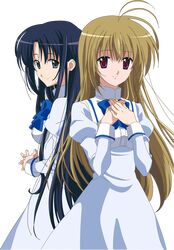Post 396527