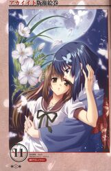 Post 397079