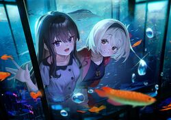 Post 4149763