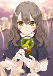 Post 4164031