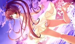 Post 398831