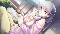 Post 4178904
