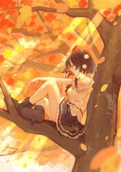 Post 4180204