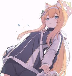 Post 4183307